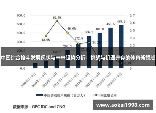 中国综合格斗发展现状与未来趋势分析：挑战与机遇并存的体育新领域